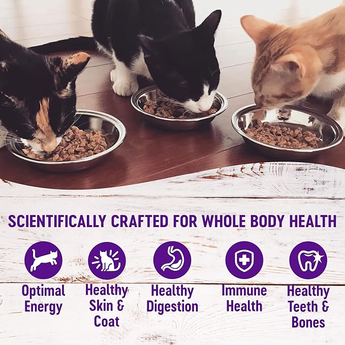 Wellness Healthly Indulgence Morsels Adult Wet Cat Food, Natural, Protein-Rich, Grain-Free, 3 Ounce Pouch, 24 Pack, (Chicken & Chicken Liver)