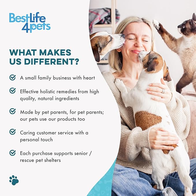 Dog Eye Care & Infection Treatment, Natural Dog Supplements for Conjunctivitis, Swelling, Dry Eyes and Discharge, Easy to Use, No More Struggle with Canine Drops, 400 Small Pills