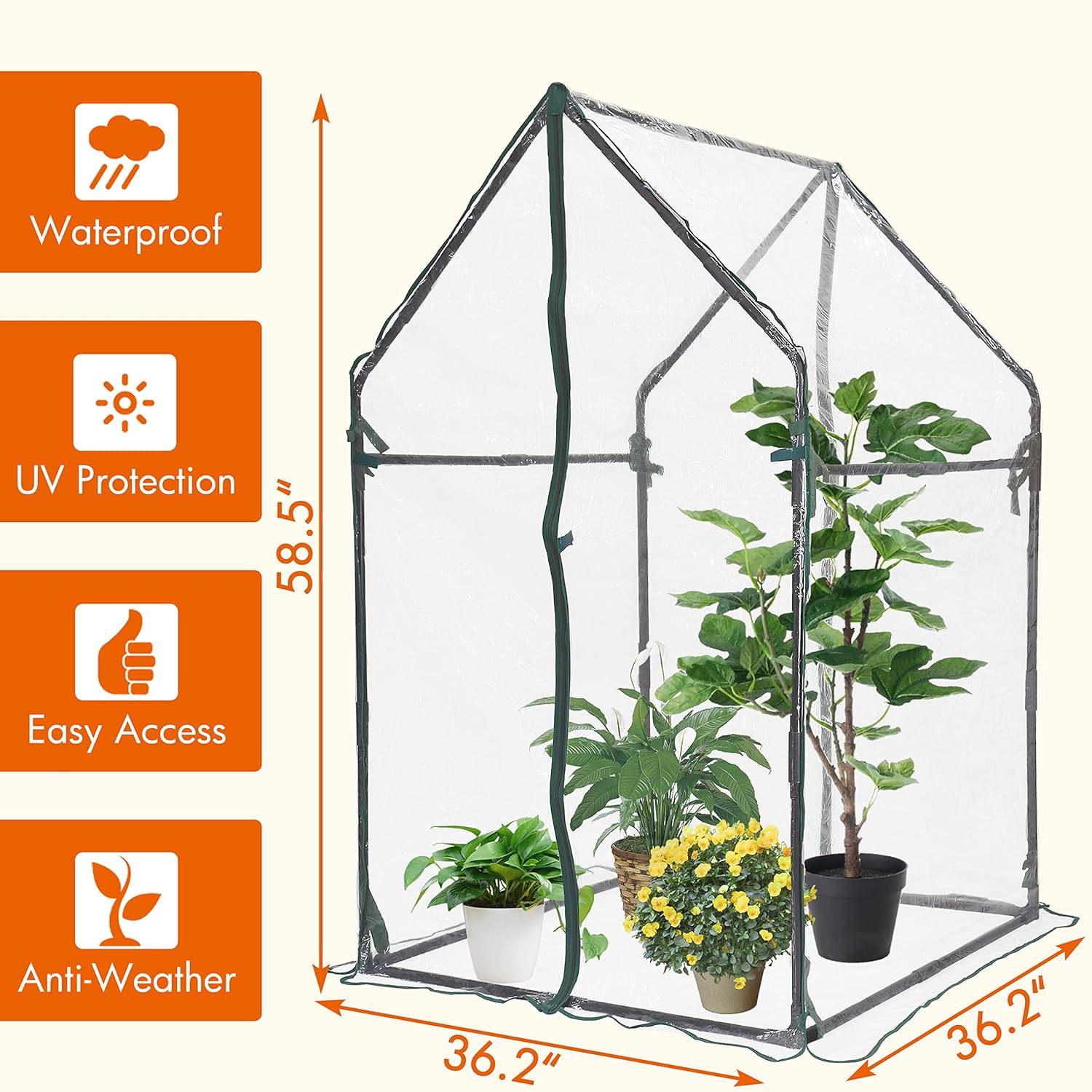 Gardzen Mini Greenhouse Heavy Duty Portable Green House, Clear Tent Small Greenhouse for Indoor Outdoor Plants 36.2”(L) x36.2”(W) x59.5”(H)