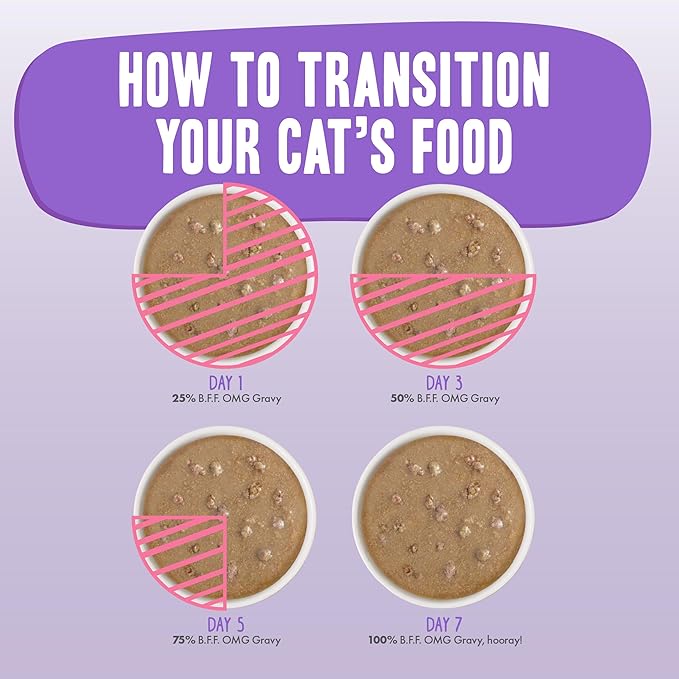 Weruva B.F.F. OMG - Best Feline Friend Oh My Gravy! Tuna & Chicken Charm Me with Tuna & Chicken in Gravy Cat Food, 3oz Pouch (Pack of 12)