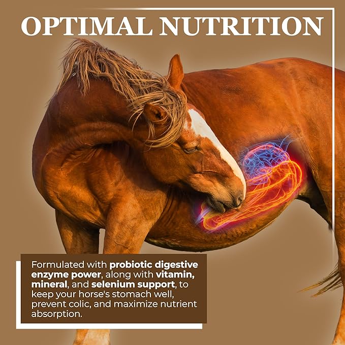 Equerry's Economy Equine Supplement - Horse Probiotics | Supplement for Horses | Horse Vitamins and Minerals Supplement with Enzymes and Selenium,20lb
