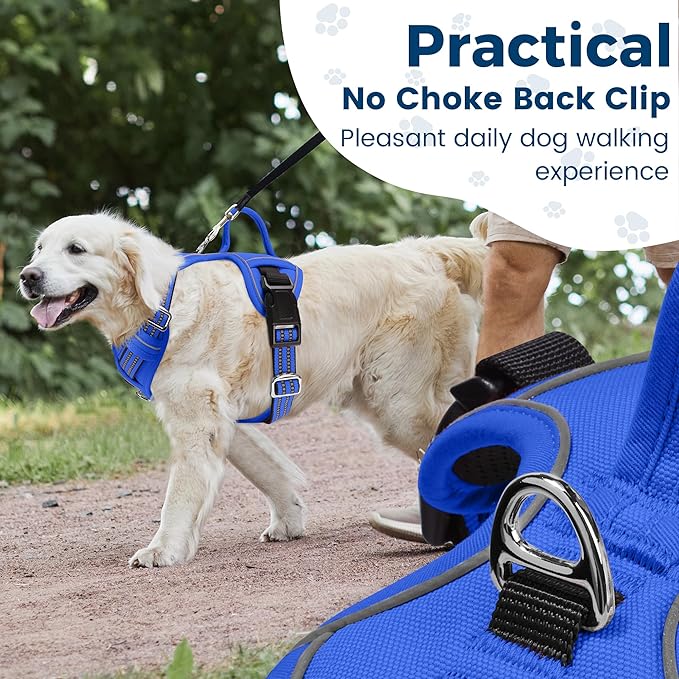 Funfox Dog Harness No Pull, Adjustable Pet Vest Harness, Super Soft Material with Vertical Handle Easy Control, Reflective Night Walking, 2 Leash Clips for Small Sized Dogs, Blue, S