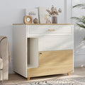 Cat Litter Box Enclosure - Indoor Litter Box Furniture Hidden with Drawer and Door - 32"x19"x32"H