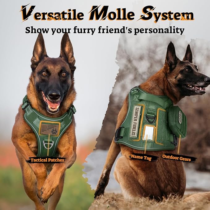 rabbitgoo Dog Harness for Large Dogs No Pull, Tactical Service Pet Vest with Molle and Control Handle, Adjustable and Reflective Military Harness for Easy Walking and Training, Green, XL
