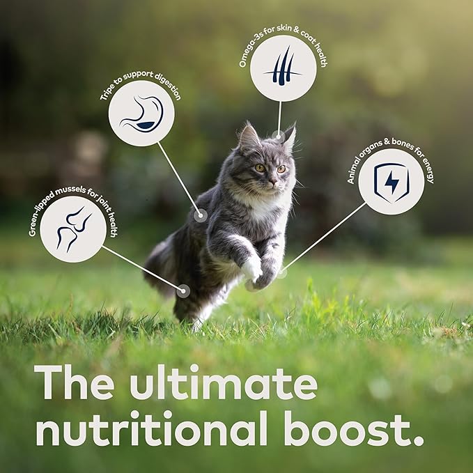 ZIWI Peak Wet Cat Food Variety Pack - Beef, Chicken, Lamb, Mackerel & Lamb, Mackerel, Venison, 6 Pack (3oz Each)