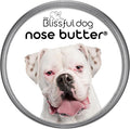 The Blissful Dog White Boxer Nose Butter for Dry, Cracked Skin, Lick-Safe Dog Nose Balm with Moisturizing Shea Butter, Almond, Olive, and Essential Oils, Pet Supplies, Uncented, 8 oz.