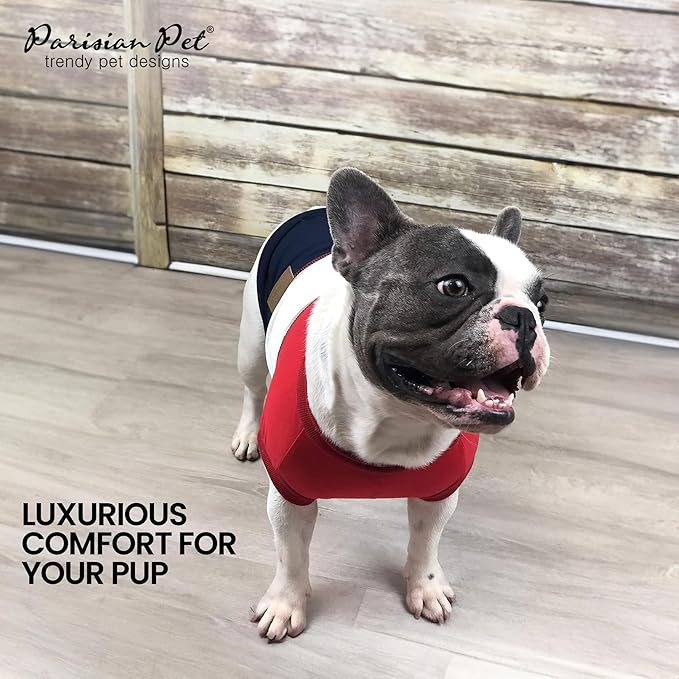 PARISIAN PET Embroidered 'Worlds Champion' Sleeveless Dog Tee - Machine Washable Color Block Tank Top - Lightweight, Small Dog XS