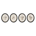 Framed Bird Print (Set of 4)