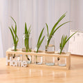 Creative wooden frame vase-Primary colors-HOME Five holes-1 piece