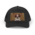 Meme Dog Trucker Hat — Funny Snapback Cap