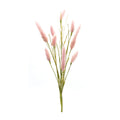 Foxtail Spray (Set of 6)