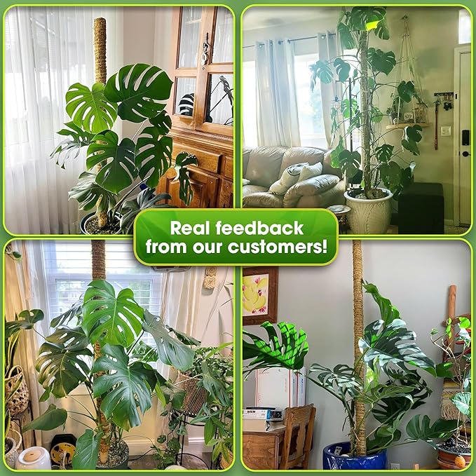DUSPRO 80 Inches Large Moss Pole for Plants Monstera, Plant Stakes for Indoor Plants, Monstera Plant Support, Plant Support/Plant Pole for Big Climbing Plants Indoor (1pc., 80'')