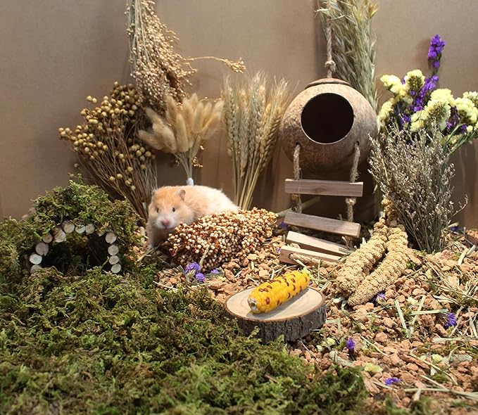 Natural Hamster Bedding - Flowers, Herbs, Sprays, Treat Cereal Grain for Cage Habitat Enclosure Decor - Hamster Chews for Dwarf Syrian Gerbils, Mice, Rat Forage - Pet Accessories