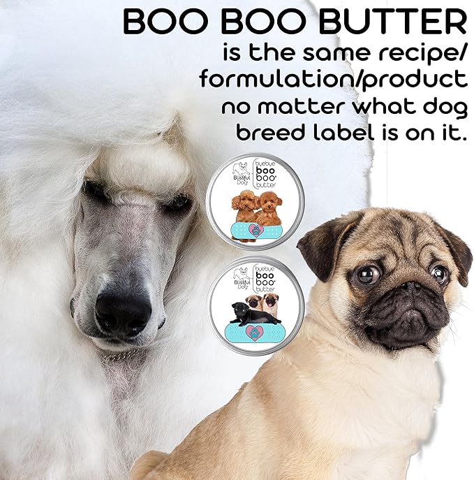 The Blissful Dog Flat-Coat Retriever Boo Boo Butter, 1-Ounce