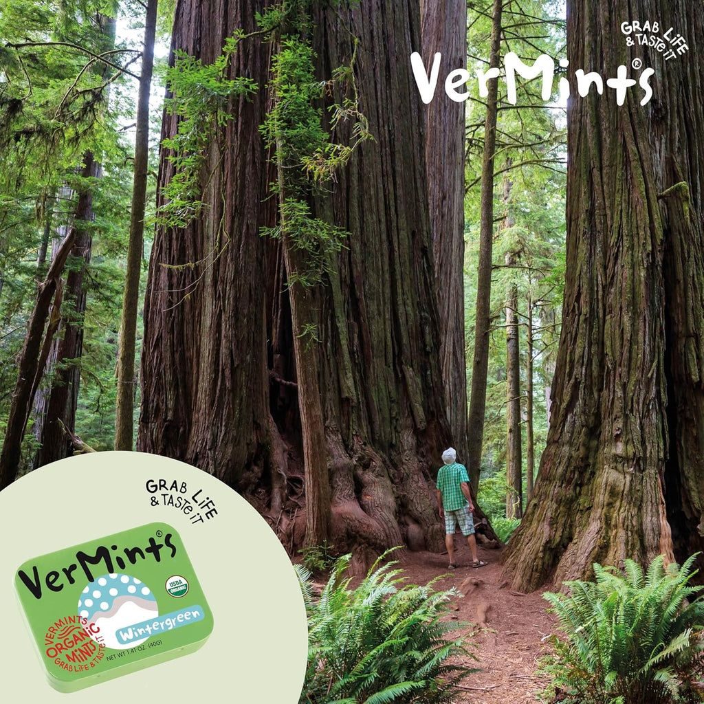 Vermints All-Natural Wintermint Breath Mints, Gluten-Free, Case of 6 (1.41 oz)