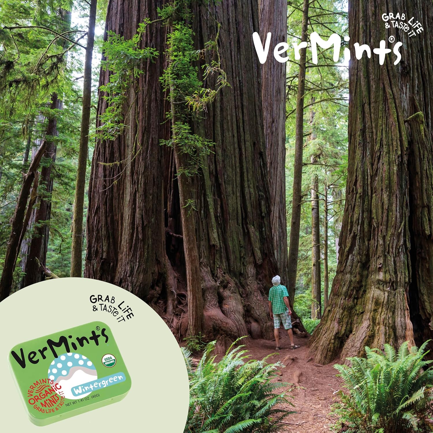 Vermints All-Natural Wintermint Breath Mints, Gluten-Free, Case of 6 (1.41 oz)