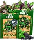 HOME GROWN Thai Basil Seeds Pack - 876 High Germination 𝗡𝗢𝗡-𝗚𝗠𝗢 𝗨𝗦𝗔 Heirloom Herb Seeds for Planting,Ideal for Growing Fresh Basil Planting Indoor or Outdoor(Ocimum basilicum var.thyrsiflora)