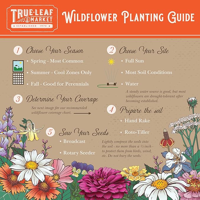 All Annual Wildflower Mix Seed for Planting by GreenHaven Gardens - 1 lb Bulk Non-GMO Seed Mix