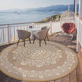 Pauwer Waterproof Outdoor Rug 6ft, Reversible Plastic Straw Patio Camping Rug, Indoor Outdoor RV Mat Carpet for Deck, Camper, Porch, Balcony, Backyard, Picnic, Floral Brown