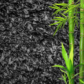 Horticultural Charcoal for Plants – Organic Bio Char Soil Amendment for Terrariums, Indoor Plants & Gardening, Made in USA (15 quarts)
