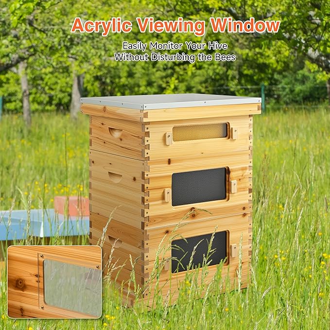 CREWORKS 10 Frame Bee Hive, 3 Layers Beeswax Coated Beehive Starter Kit with Frames & Foundations, Langstroth Bees Hives Box with Transparent Acrylic (Window Medium Box & 2 Deep Boxes)