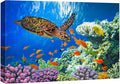 wall26 Canvas Print Wall Art Vibrant Neon Underwater Turtle, Reef & Fish Nature Animals Photography Realism Rustic Scenic Landscape Wilderness Colorful for Living Room, Bedroom, Office - 24"x36"