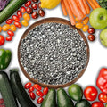 Gypsum for Soil - Calcium for Plants - Gypsum Fertilizer for Gardening, Lawn & Vegetables - Calcium for Garden (2 qts. - 4 lbs)