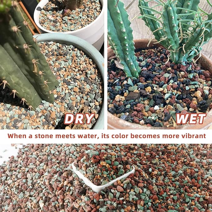 2.4lb Mix Horticultural Lava Rock Pebbles Pumice Potting Soil Amendment Succulent Cactus Bonsai Gritty Rock Decorative Gravel Plant Drainage Volcanic Rock for Aquarium Fairy Gardening Top Dressing