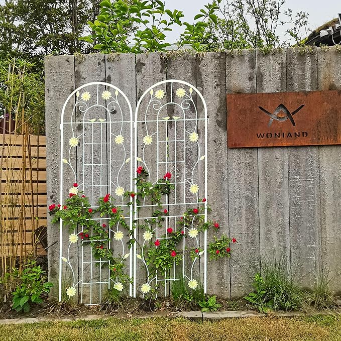 2 Pack Metal Garden Trellis for Climbing Plants 71" H Cream White Garden Fence Rustproof Trellis Support Roses Flower Outdoor Lawn, Cream White