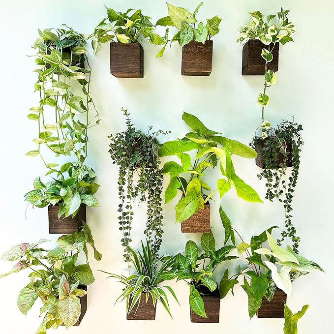 LaLaGreen Indoor Planter Box for Plants (12 Pack, 4x4 Inch) Small Square Wooden Wall Mounted Planters Wood Window Boxes Hanging Flower Pot Plant Holder Outdoor Herb Modern Vertical Garden Home Decor