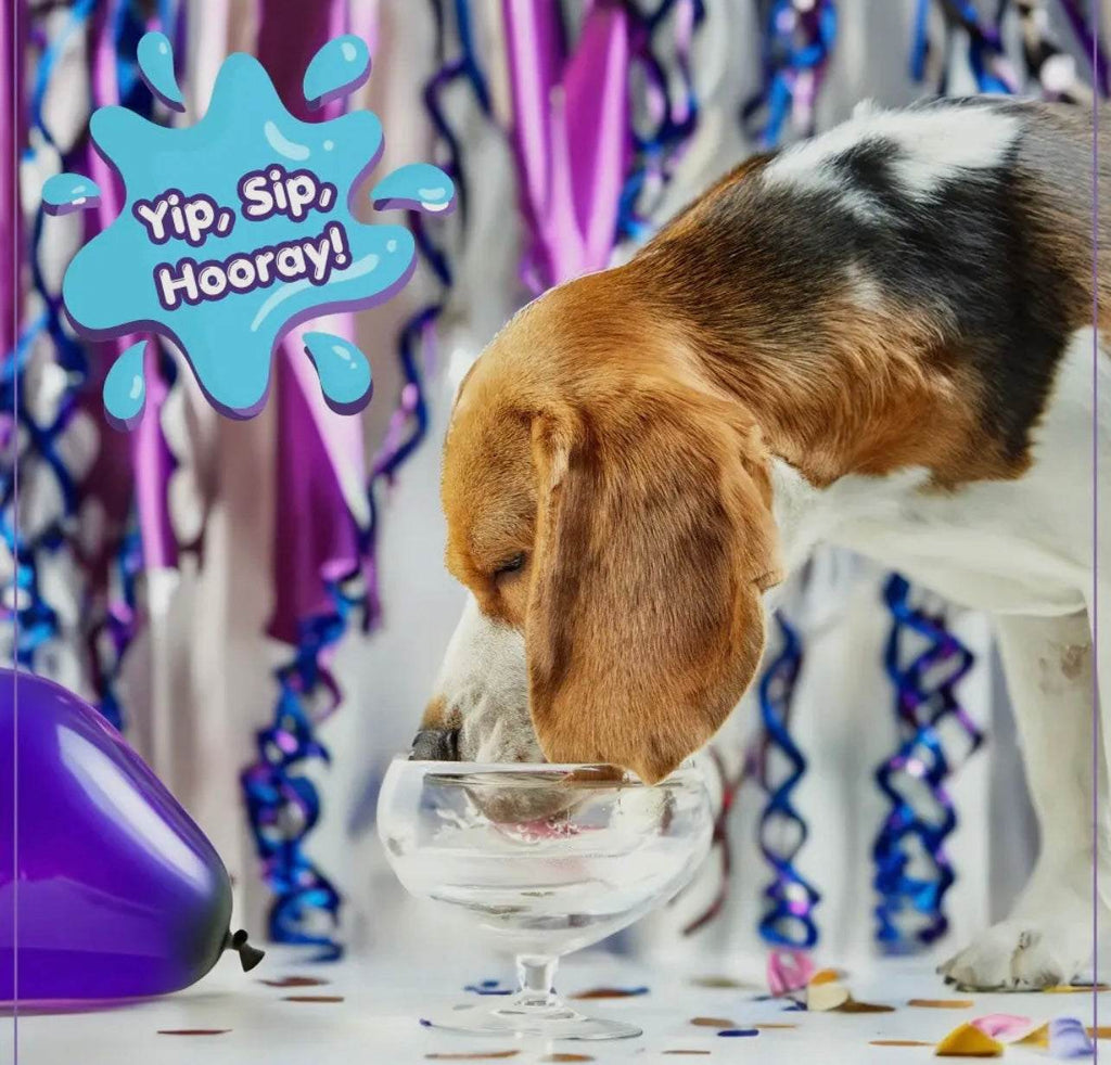 🐾 Pup‑POP™ – Celebration Hydration for Dogs