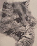 Mister Whiskers Stretched Wall Tapestry