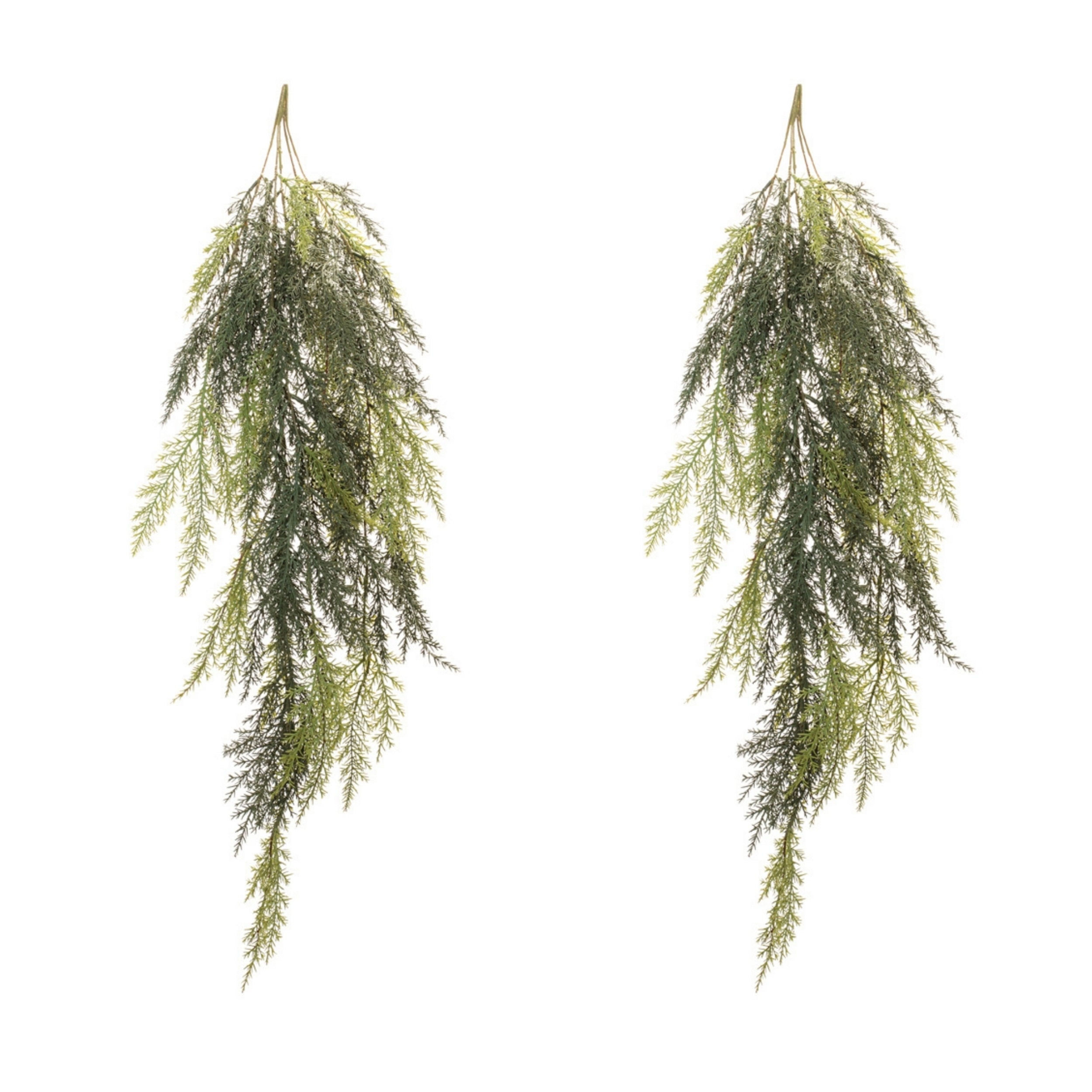 Cedar Hanging Vine (Set of 2)
