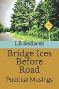 Bridge Ices Before Road: Poetical Musings