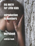 BIG MATH for Little Kids: Introduction to Numbers (Workbook)