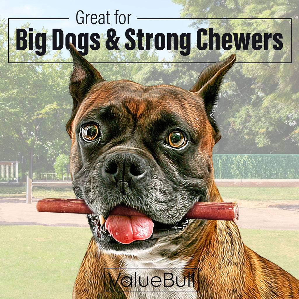 ValueBull Bully Sticks for Large Dogs, Thick 6 Inch, 50 Count