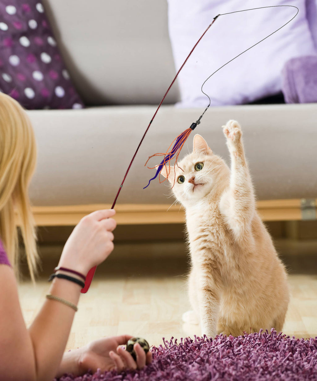 🪱🐱 Live Pawsitively Wiggly Wand Worm Cat Toy – Interactive Hunting Wand with Realistic Worm Attachment