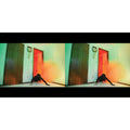 Adult. - Becoming Undone (Carpet Coloured LP Vinyl) & Becoming Undone
