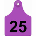 76-100 PURPLE Allflex: Maxi Fem/Sm Male