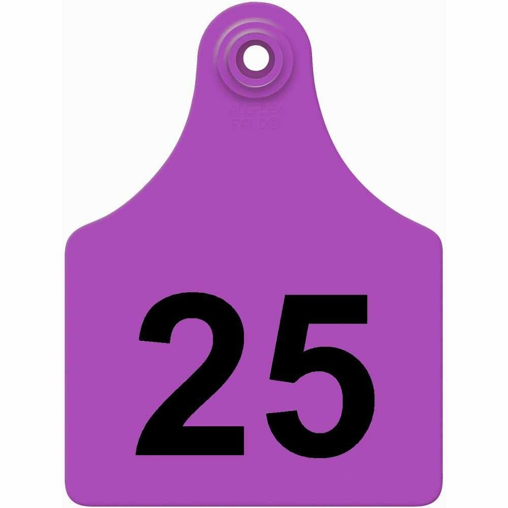 76-100 PURPLE Allflex: Maxi Fem/Sm Male