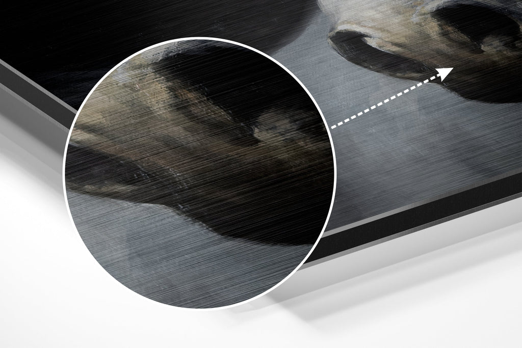 White Horse Head Dark Backdrop Brushed Aluminium Dibond Wall Art