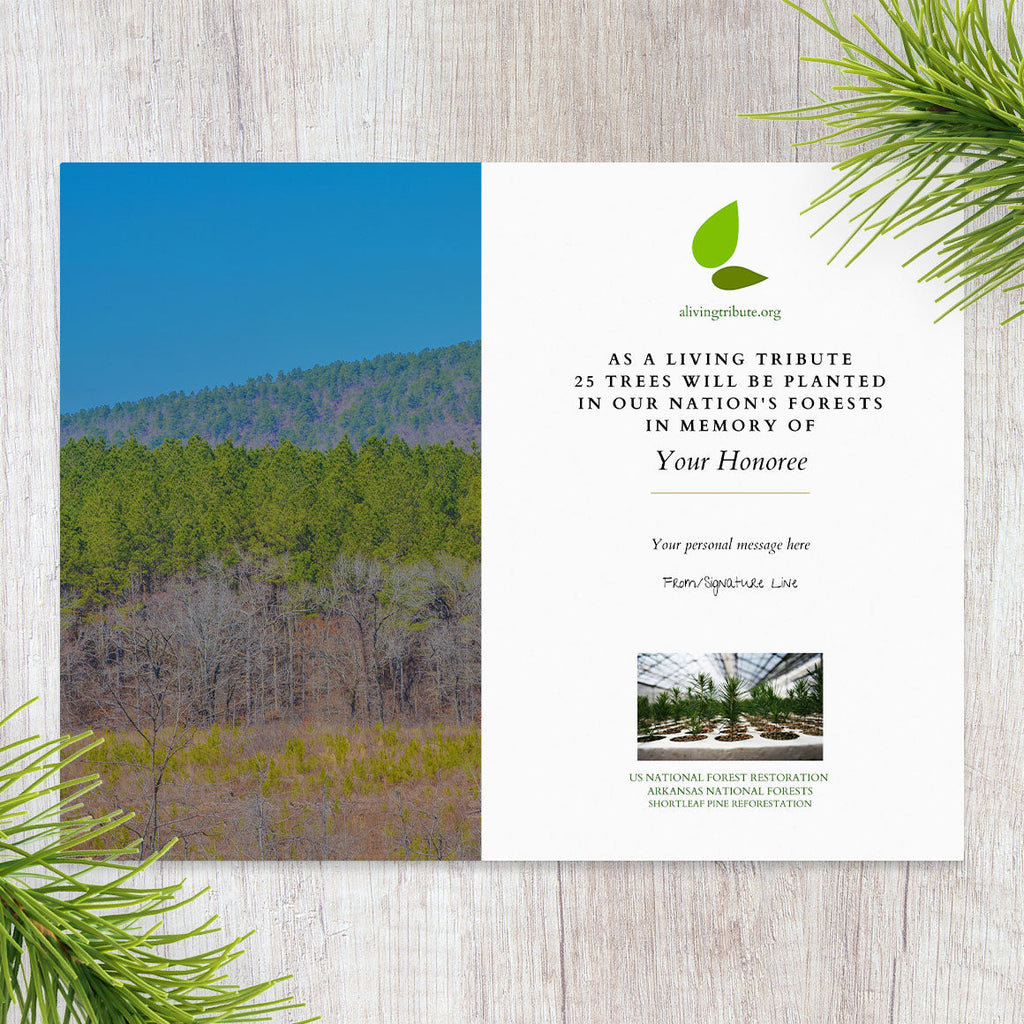 Plant a Tree for Someone in Arkansas - Memorial & Tribute Trees