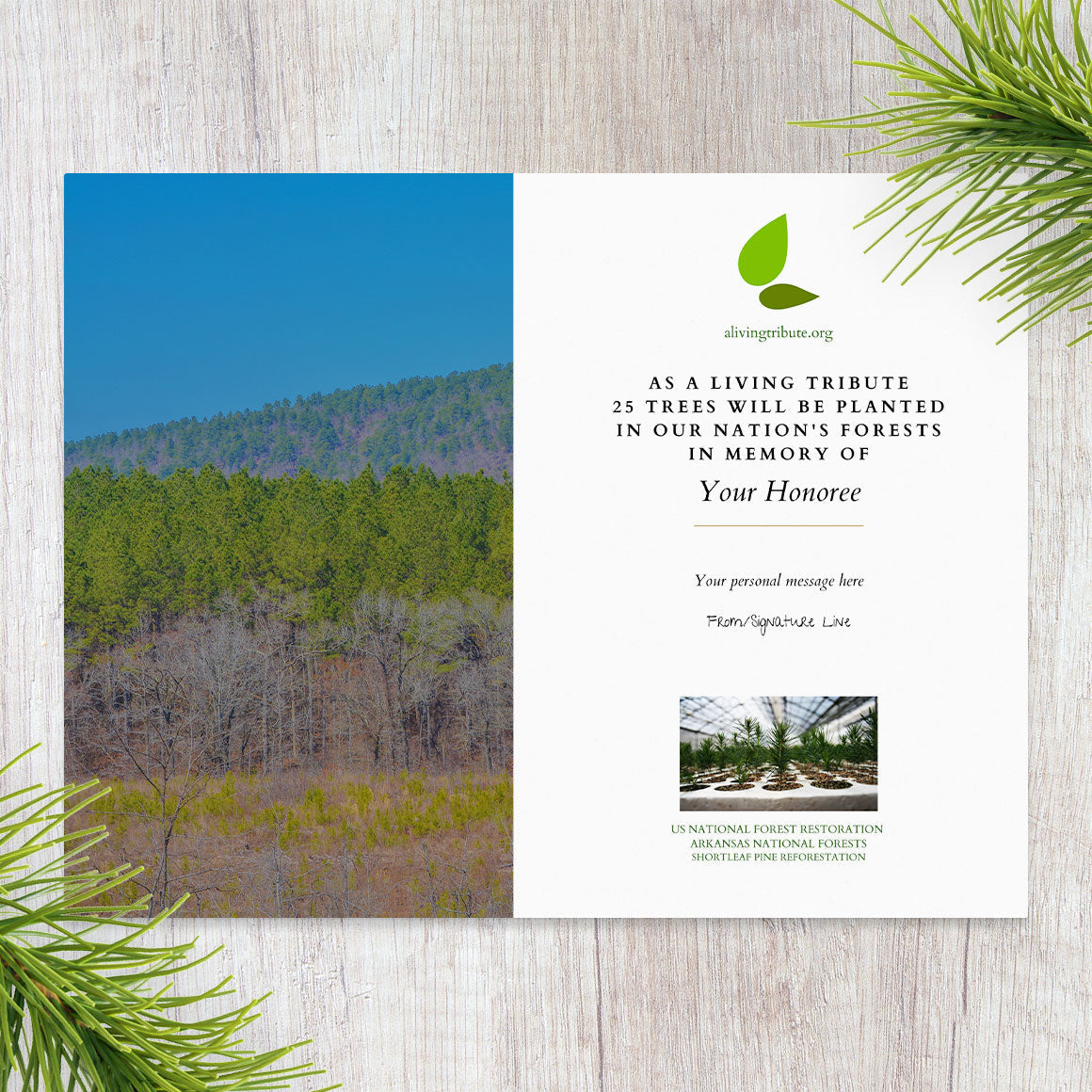 Plant a Tree for Someone in Arkansas - Memorial & Tribute Trees