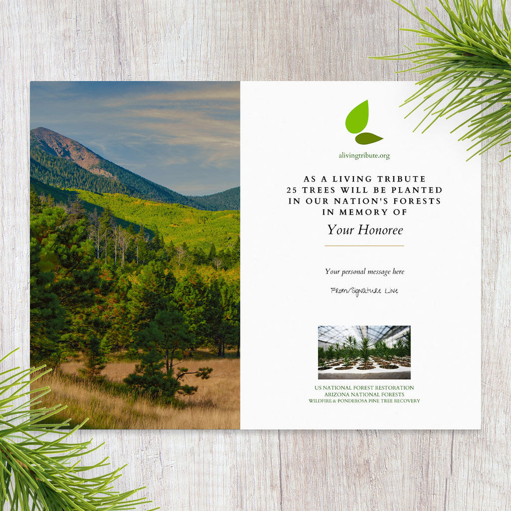 Plant a Tree for Someone in Arizona - Memorial & Tribute Trees