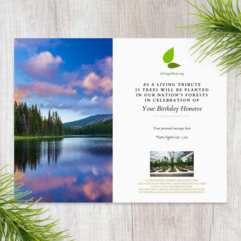 Plant a Tree for Birthday Gift - A Living Tribute