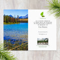 Plant a Tree for Someone in Idaho - Memorial & Tribute Trees
