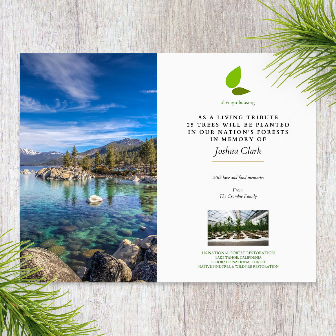 Plant-a-Tree Gift with Deluxe Photo Card