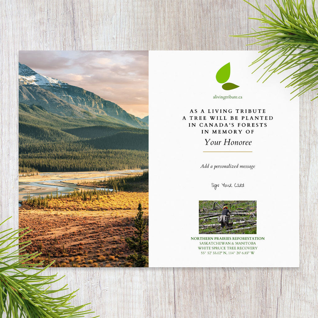 Plant a Tree in Canada with Personalized Photo Card