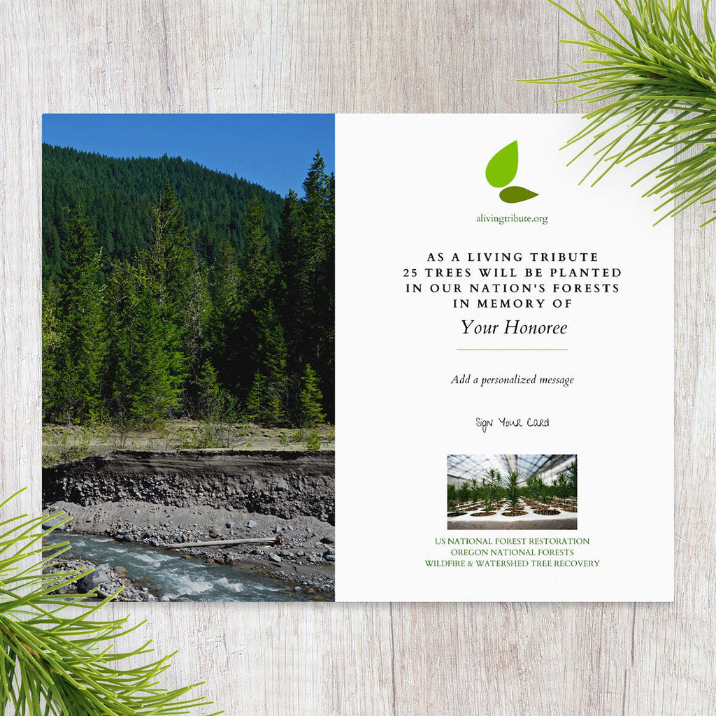 Plant-a-Tree Gift with Deluxe Photo Card