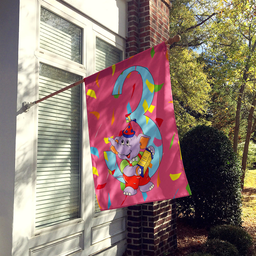 Happy 3rd Birthday Age 3 House Flag 28x40 Porch Sleeve Pole Decorative Outside Yard Banner Artwork Wall Hanging, Polyester